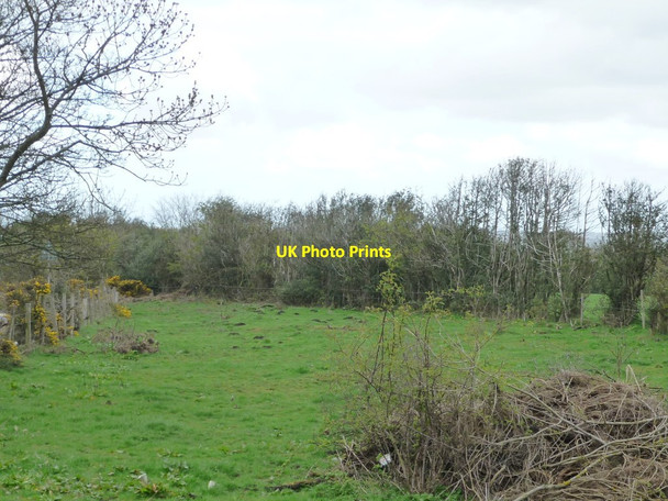 Photo 6"x4" Farmland south of Lead Road Coalburns c2012