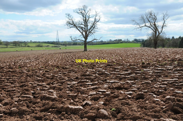 Photo 6"x4" Ploughed field near Wanswell Court Farm Berkeley c2012