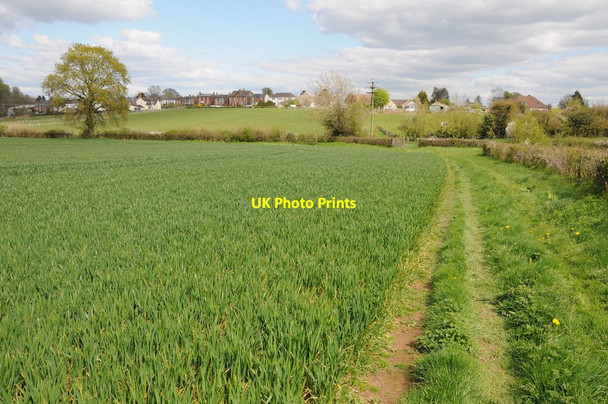 Photo 6"x4" Footpath at Wanswell Brookend\/SO6802 c2012