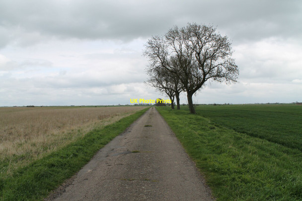 Photo 6"x4" Trees on Dunsby Drove Dowsby c2012