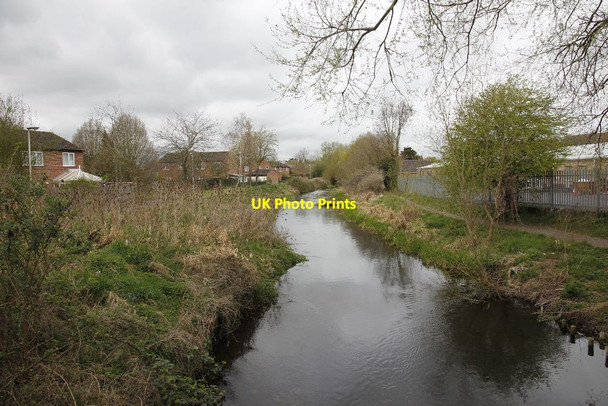 Photo 6"x4" Upstream along the River Lambourn Newbury\/SU4767 c2012