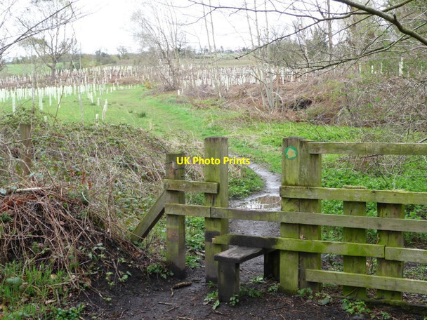 Photo 6"x4" Public footpath to Middle Friarside Rowlands Gill c2012