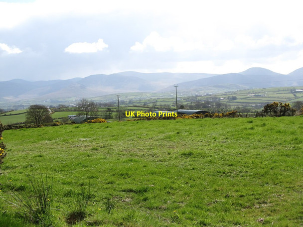 Photo 6"x4" Pasture land and hay sheds south of Tamary Road Hilltown\/J2128 c2012