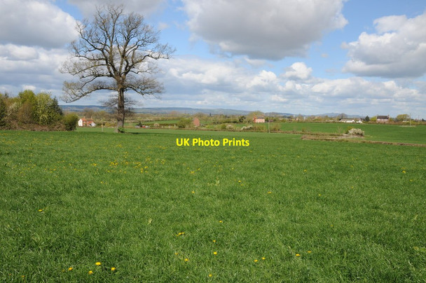 Photo 6"x4" Farmland at Gossington Gossington c2012