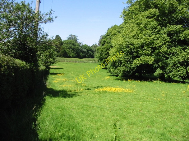 Photo 6"x4" Meadow near Henbury Lodge North Elham c2008