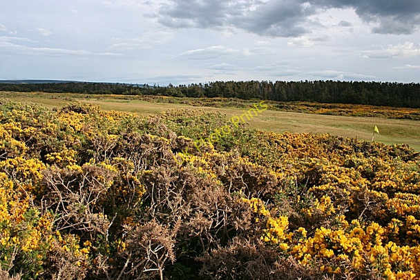 Photo 6"x4" Spey Bay Golf Course Nether Dallachy\/NJ3663 c2008
