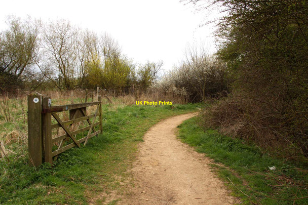 Photo 6"x4" The Thames Path to Ashton Keynes Waterhay c2012