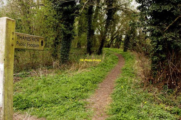 Photo 6"x4" The Thames Path at Neigh Bridge Somerford Keynes c2012