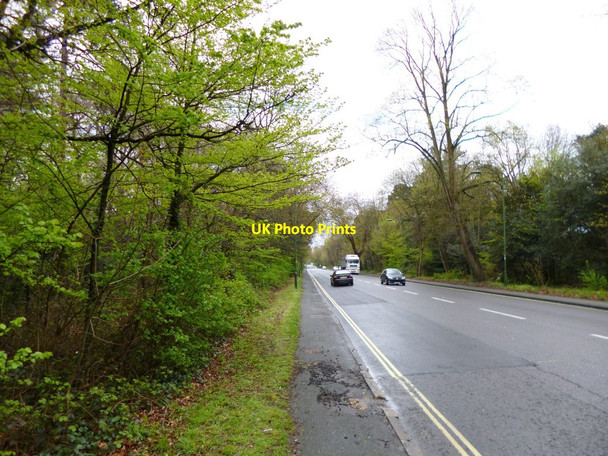 Photo 6"x4" Southampton Common, The Avenue Southampton c2012