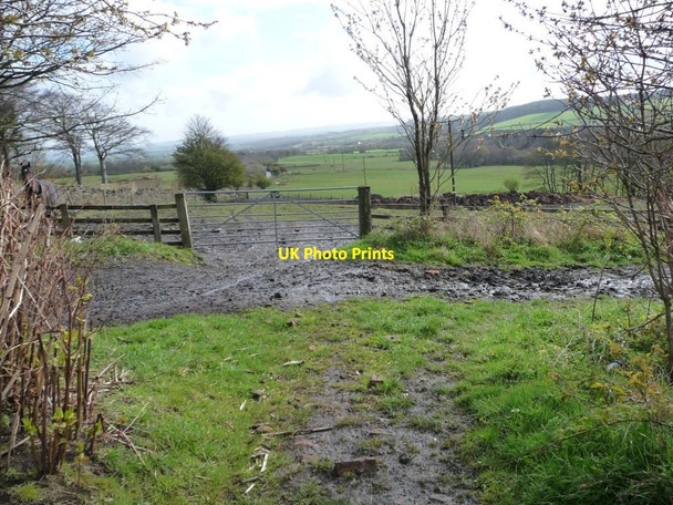 Photo 6"x4" Muddy bridleway, south of Holmside Lane Burnhope c2012