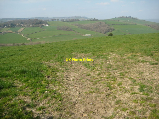 Photo 6"x4" View to Catherstone Leweston Catherston Leweston c2012