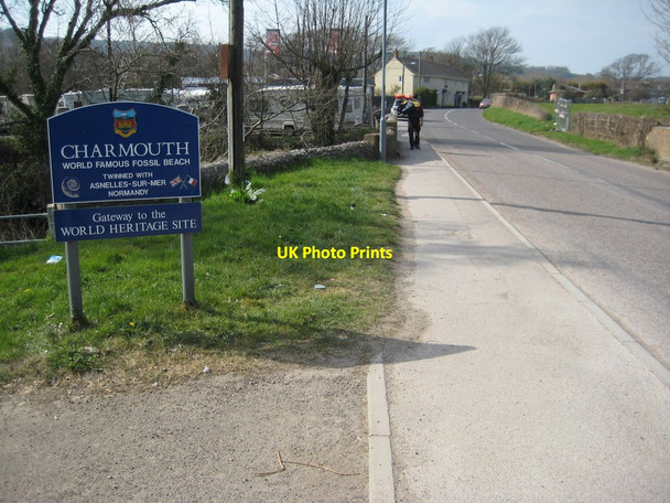 Photo 6"x4" Road entering Charmouth Catherston Leweston c2012