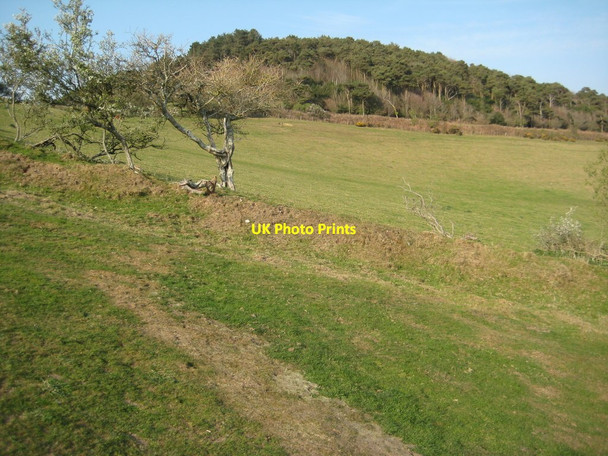 Photo 6"x4" Langdon Hill Chideock c2012