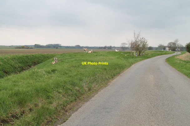 Photo 6"x4" Rural Grass Management on Fen Road Little Wisbeach c2012