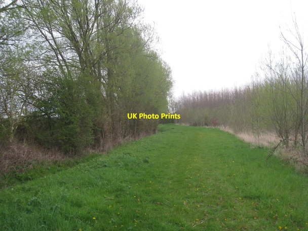 Photo 6"x4" Footpath from Hawton Hawton c2012