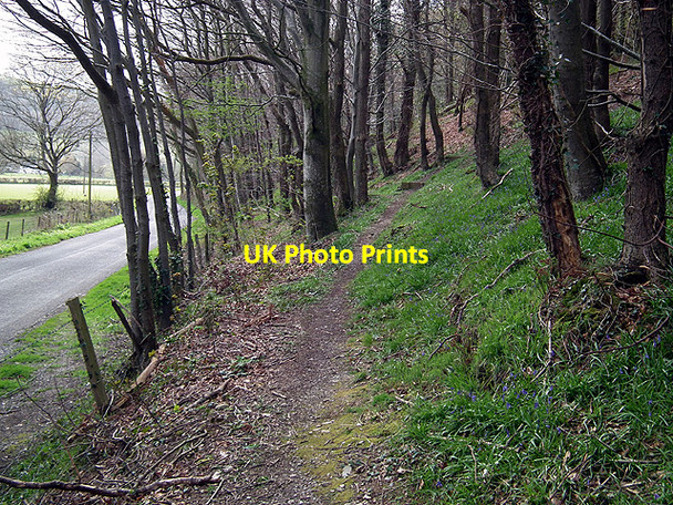 Photo 6"x4" The start of the path through Pant Da Woods Nantyronen Station c2012