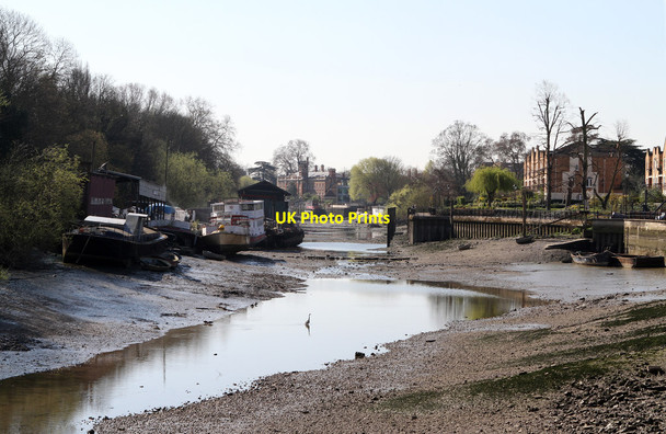 Photo 6"x4" The Thames Behind Isleworth Ait Isleworth c2012
