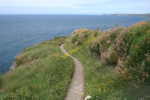 Photo 6"x4" St Endellion: coast path near Port Gaverne 1 Port Gaverne c2008