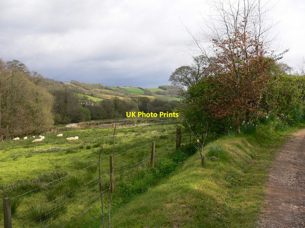 Photo 6"x4" The Offwell valley Tricombe c2012