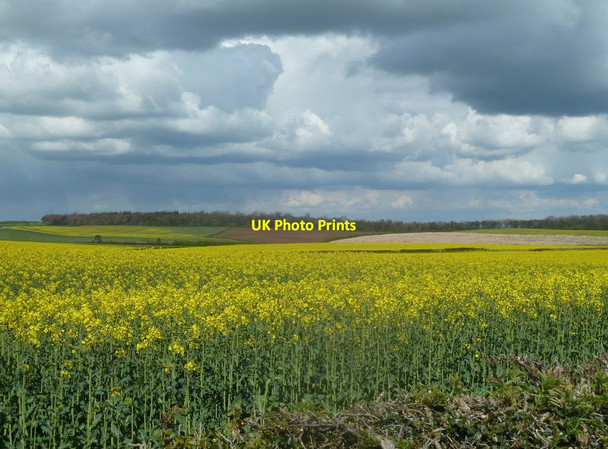 Photo 6"x4" Spring fields near Scarcliffe Shirebrook c2012