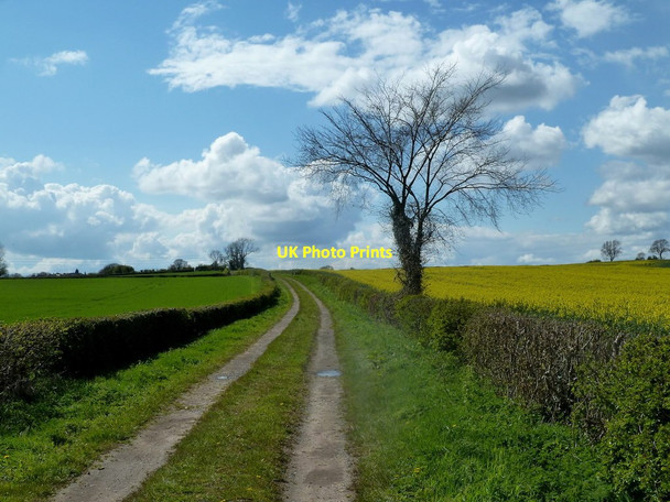 Photo 6"x4" Track towards Scarcliffe Shirebrook c2012