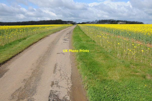 Photo 6"x4" Road near Hazlecote Farm Lasborough c2012
