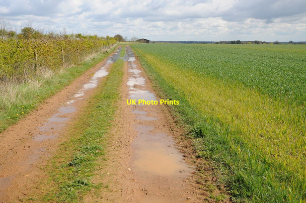Photo 6"x4" Track near Babdown Farm Lasborough c2012