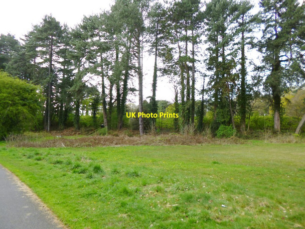 Photo 6"x4" Southampton Common, reservoir Southampton c2012