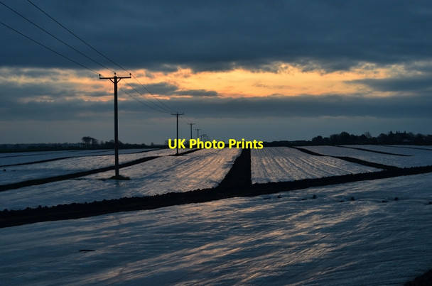 Photo 6"x4" Pittenweem farmland Pittenweem c2012
