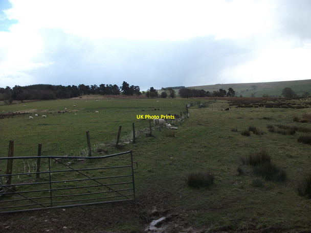 Photo 6"x4" Logistical problem Glyn Ceiriog c2012