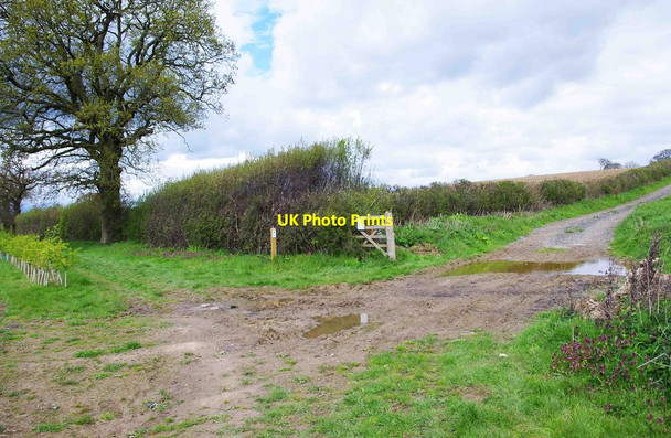 Photo 6"x4" Junction of bridleway and track, near Upper Arley Nash End c2012