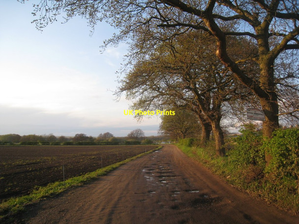 Photo 6"x4" Track to Caistor Moor farm Caistor c2012