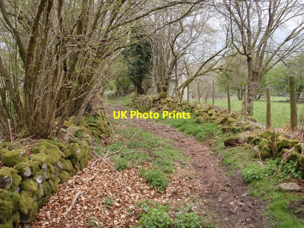 Photo 6"x4" Cilffordd Laswern Byway, Llangatwg Legar c2012