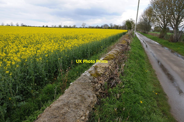 Photo 6"x4" Road near Nestley Farm Beverston c2012