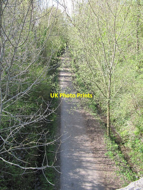 Photo 6"x4" Railway from the bridge Bawdrip c2012