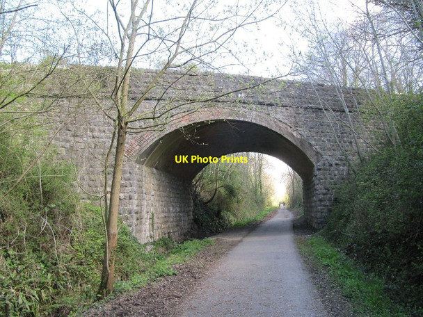 Photo 6"x4" Looking towards Cossington Bawdrip c2012