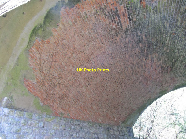 Photo 6"x4" Inside the arch Bawdrip c2012