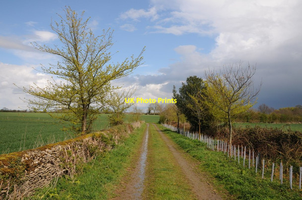Photo 6"x4" Farmland track, Tetbury Upton Tetbury c2012