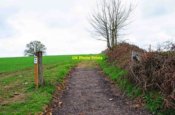Photo 6"x4" The Upper Arley Circular Walk, near Upper Arley Holbeache c2012