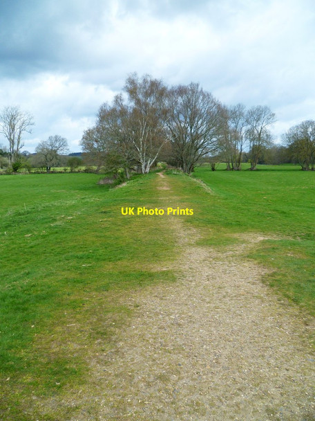 Photo 6"x4" Orange Way in Devon and Torbay (361) Fluxton c2012