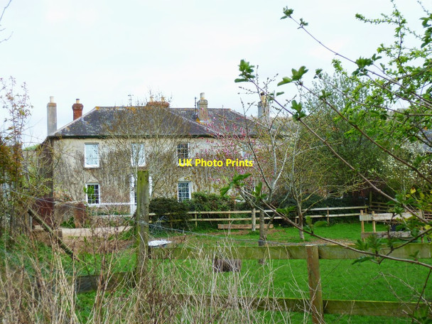 Photo 6"x4" Orange Way in Devon and Torbay (389) Ottery St Mary c2012