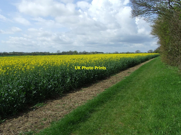 Photo 6"x4" Rape And Footpath Wetherup Street c2012