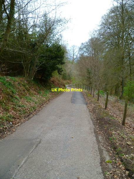 Photo 6"x4" Orange Way in Devon and Torbay (401) Gittisham c2012