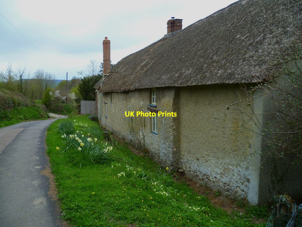 Photo 6"x4" Orange Way in Devon and Torbay (403) Gittisham c2012
