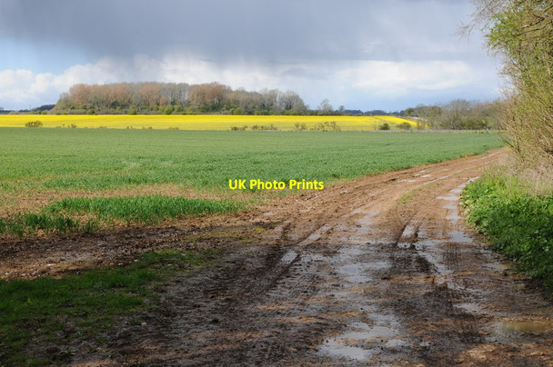 Photo 6"x4" April shower over a Cotswold copse Rodmarton c2012