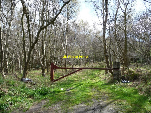 Photo 6"x4" Gated woodland track Cornsay c2012