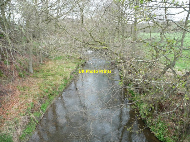 Photo 6"x4" The River Browney Lanchester c2012
