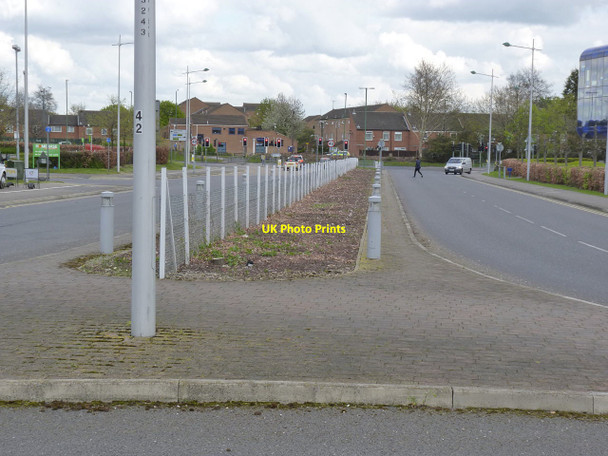 Photo 6"x4" Tree removal, Enterprise Way West Bridgford c2012