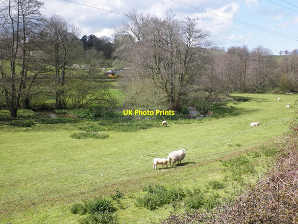 Photo 6"x4" Doniford valley Kingswood\/ST1037 c2012