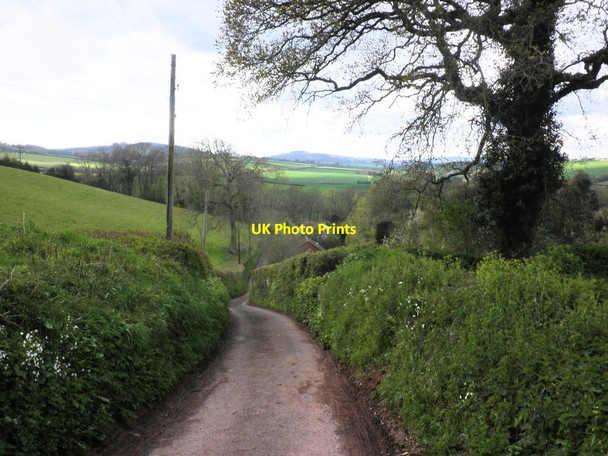 Photo 6"x4" Country Lane, near Stogumber Kingswood\/ST1037 c2012